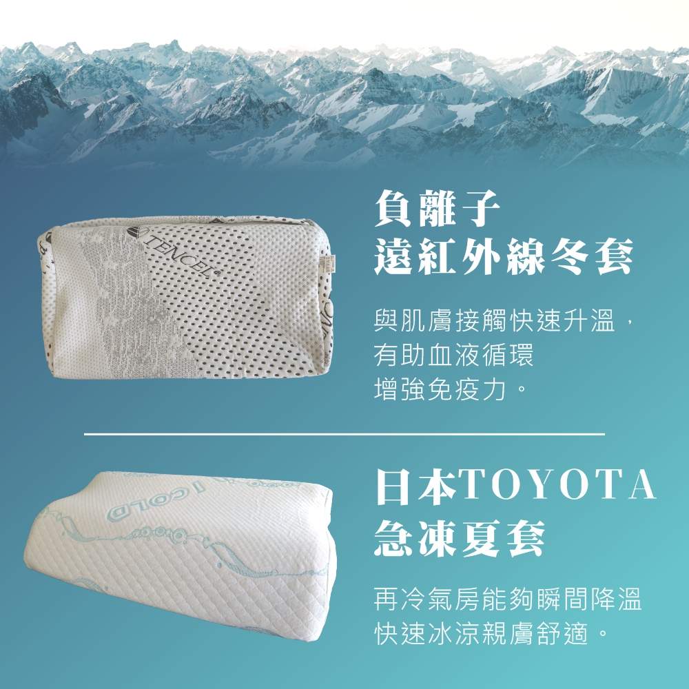 床大師名床 四季恆溫護頸枕 床大師名床 四季恆溫護頸枕