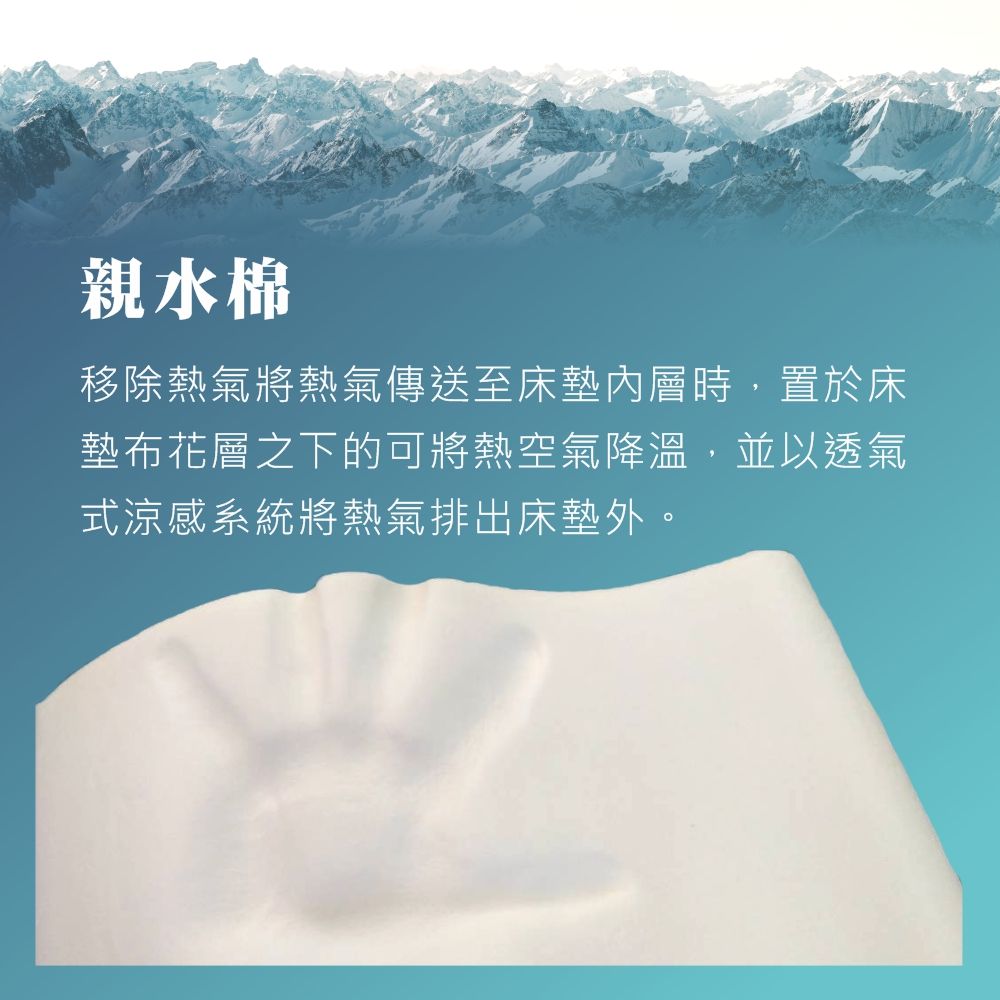 床大師名床 四季恆溫護頸枕 床大師名床 四季恆溫護頸枕