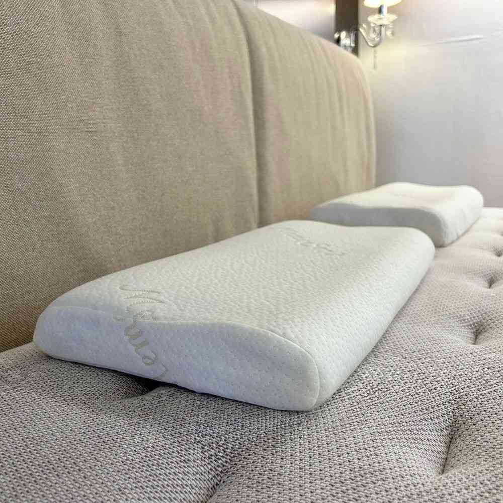 床大師名床 美國美夢舒寶水冷膠枕 MMSB-5075