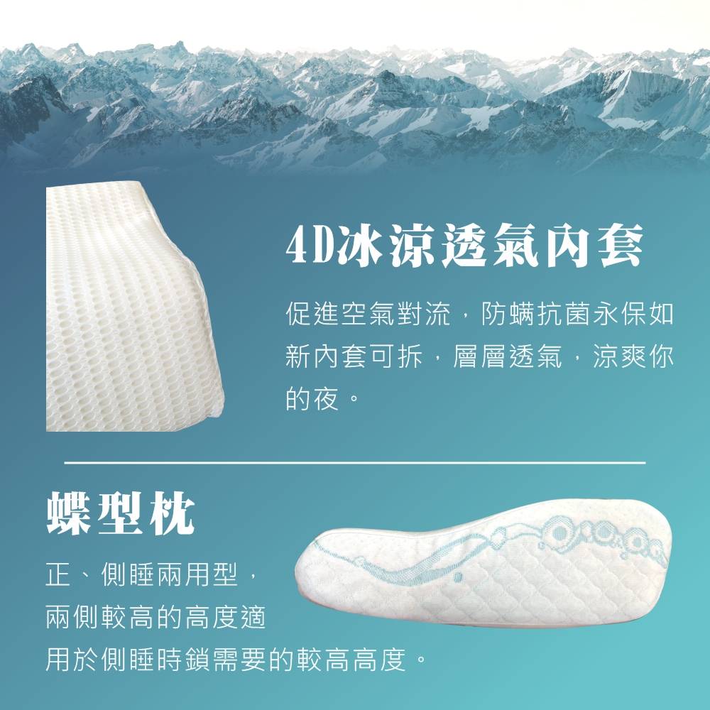 床大師名床 四季恆溫枕 Four-Seasons2