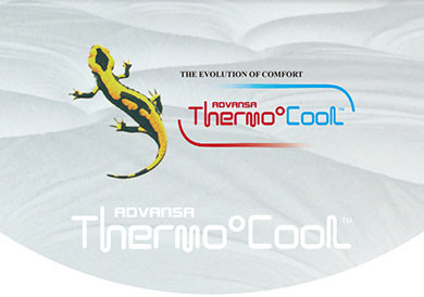 Thermo Cool