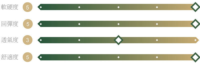 AI智能氣動按摩床